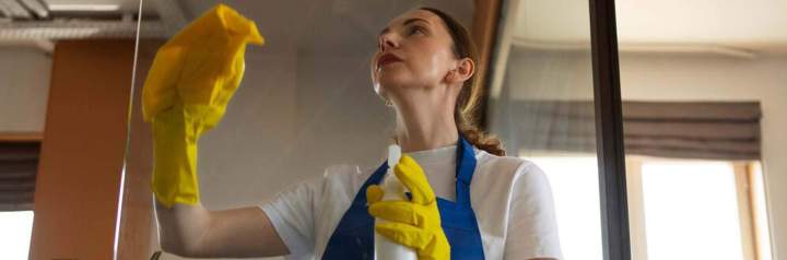 personne service nettoyage professi 0e2e